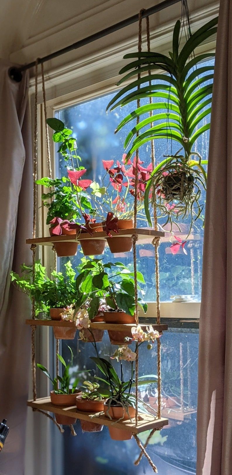 Plantas para quarto