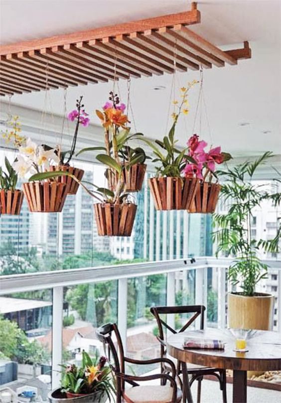 jardim vertical de orquídeas