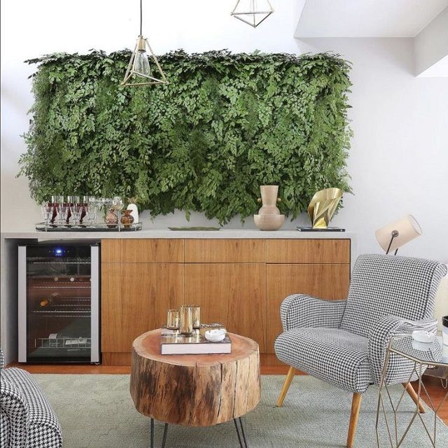 plantas para sala de estar 